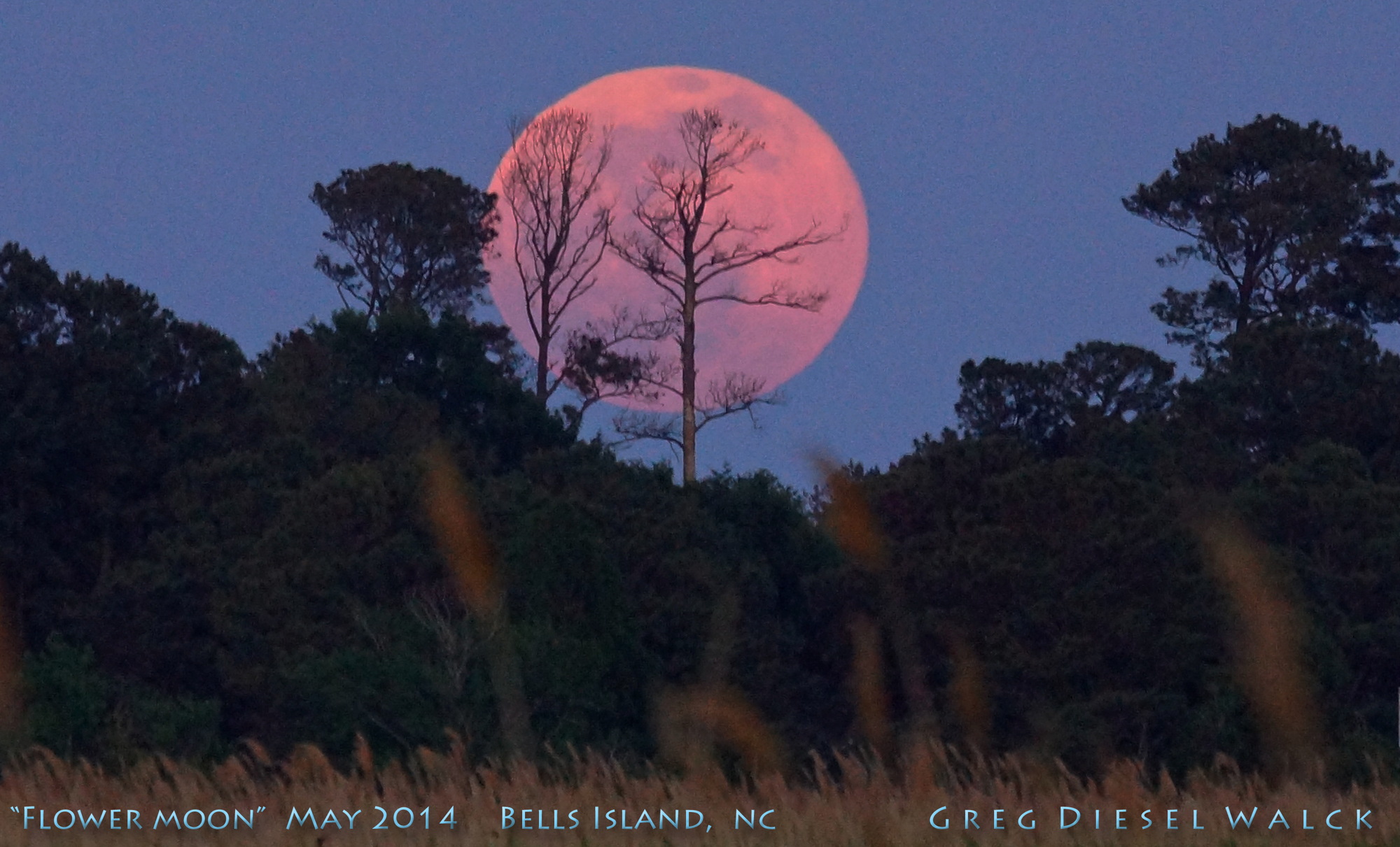 Majestic Full Flower Moon Rises Over North Carolina (Photo)